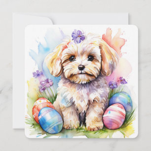Frohe Ostern Karte Süßer Maltipoo Wasserfarben Hun