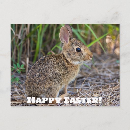 Frohe Ostern! Postkarte (Vorderseite)