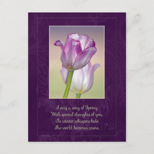 Frohe Ostern Postkarte / Ostertulpen (Vorderseite)