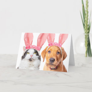 Frohe Ostern Süße Katze und Welpe in Hasenohren  Feiertagskarte