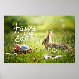 Frohe Ostern Süßer Hase mit farbenfrohen Ostern  Poster