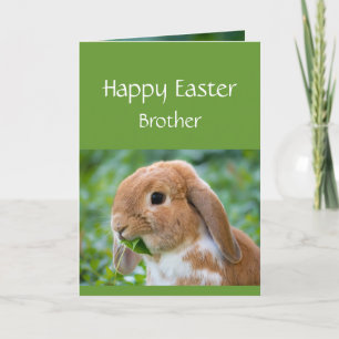 Frohe Ostern Süßer Hase Spezial Bruder Feiertagskarte