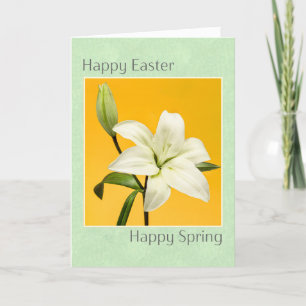 Frohe Ostern und Frühling Schönes Weiße Lily Foto Feiertagskarte