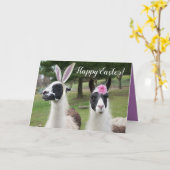 Frohe Ostern von 2 Ostern Llamas Karte (Gelbe Blume)