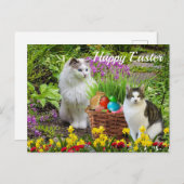 Frohe Ostern von Ihrem Katzen Urlaub Postkarte (Vorne/Hinten)