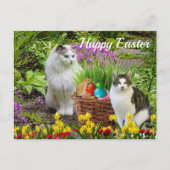 Frohe Ostern von Ihrem Katzen Urlaub Postkarte (Vorderseite)