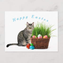 Frohe Ostern von Ihrer Cat Postkarte