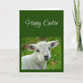 Frohe Ostern wünsche mit Lamm Gottes  Karte (Vorderseite)