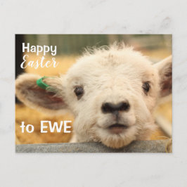 Frohe Ostern zu EWE. Feiertagspostkarte