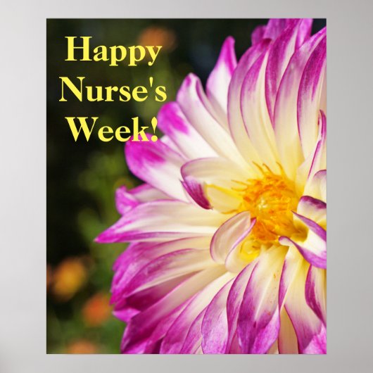Frohe Pflegerwoche! Poster Drucke Krankenschwester (Vorne)
