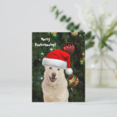 Frohe Postüberquerung von Crystal der Husky Hund Postkarte (Stehend Vorderseite)