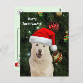 Frohe Postüberquerung von Crystal der Husky Hund Postkarte (Vorne/Hinten)