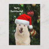 Frohe Postüberquerung von Crystal der Husky Hund Postkarte (Vorderseite)