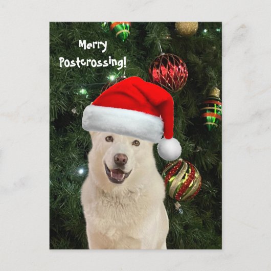 Frohe Postüberquerung von Crystal der Husky Hund Postkarte (Vorderseite)
