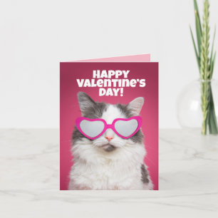 Frohe Valentinstag an Alle Lustige Katzen Humor Karte