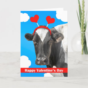 Frohe Valentinstag für jeden Süßen Kuh Humor Feiertagskarte