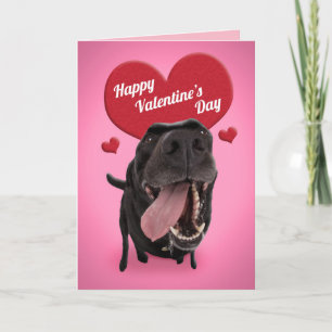Frohe Valentinstag Lustiger Hundehumor Feiertagskarte