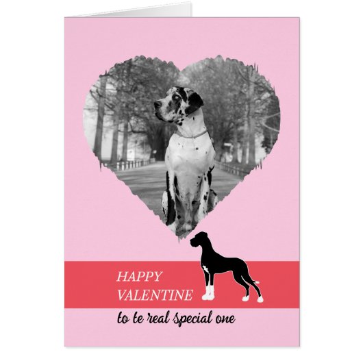 Frohe Valentinstag mein Großer DAne (Vorne)