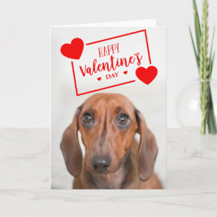 Frohe Valentinstag   Süßer Dachshund-Welpe Karte