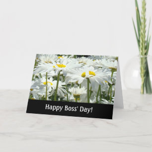 Frohe Vorgesetztentag! Karten Weiße Gänseblümchen