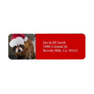 Frohe Waschbär-Weihnachten