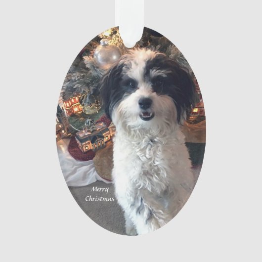 Frohe Weihnacht-acrylsauerverzierung, niedlicher Ornament (Vorderseite)