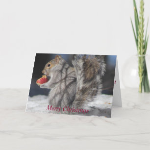 Frohe Weihnacht-Eichhörnchen-Apple-Gruß-Karte Feiertagskarte