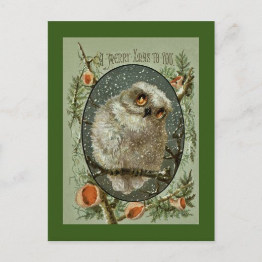 Frohe Weihnacht-Eule Feiertagspostkarte (Vorderseite)