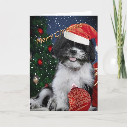 Frohe Weihnacht-Karten Shih Tzu Feiertagskarte (Vorderseite)