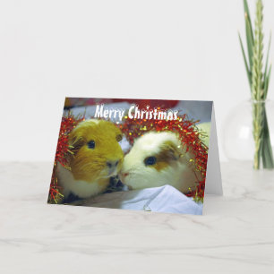 Frohe Weihnacht-Meerschweinchenkarte Feiertagskarte