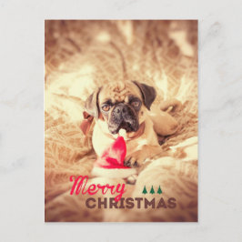 Frohe Weihnacht-Mops Feiertagspostkarte