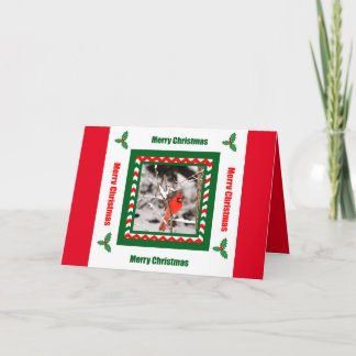Frohe Weihnacht-NordKardinals-Weihnachtskarte Feiertagskarte