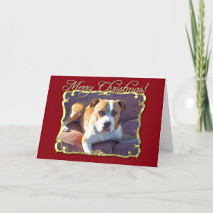 Frohe Weihnacht-Pitbull-Hundegrußkarte Feiertagskarte