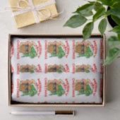 Frohe Weihnacht-Sankt-Ananas Seidenpapier (Geschenk)