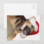 Frohe Weihnachten (Vorne/Hinten)