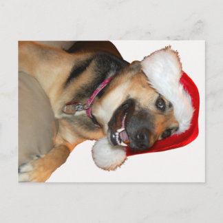 Frohe Weihnachten