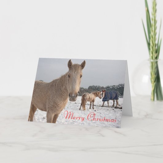 Frohe Weihnachten (Vorderseite)