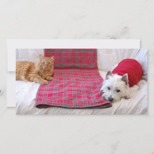 Frohe Weihnachten (Vorderseite)