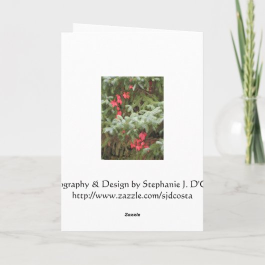 Frohe Weihnachten (Rückseite)