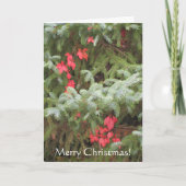 Frohe Weihnachten (Vorderseite)