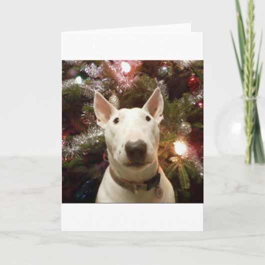 frohe Weihnachten (Vorderseite)