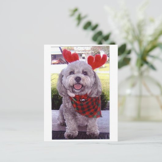 Frohe Weihnachten (Stehend Vorderseite)