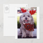 Frohe Weihnachten (Vorne/Hinten)