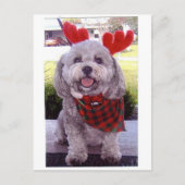 Frohe Weihnachten (Vorderseite)