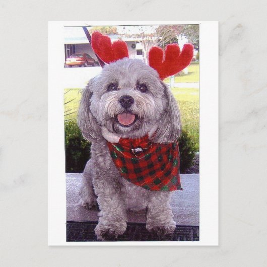 Frohe Weihnachten (Vorderseite)