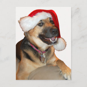 Frohe Weihnachten
