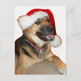 Frohe Weihnachten