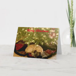 Frohe Weihnachten
