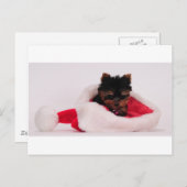 Frohe Weihnachten (Vorne/Hinten)