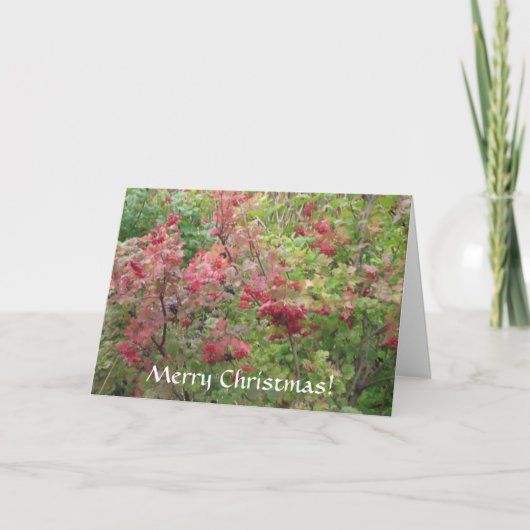 Frohe Weihnachten (Vorderseite)